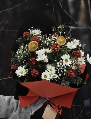 Papatya&Kokina Uyumu